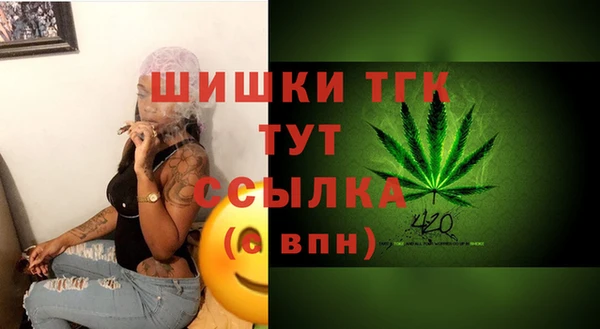 СК Горняк