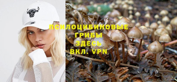 дживик Горнозаводск