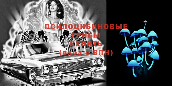 хмурый Горно-Алтайск