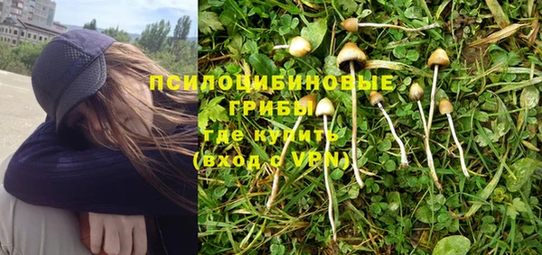 СК Горняк