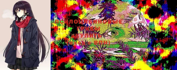 дживик Горнозаводск