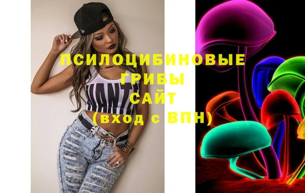 дживик Горнозаводск