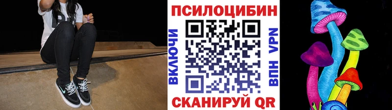 цены   OMG зеркало  Псилоцибиновые грибы Cubensis  Тырныауз 